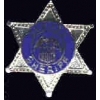 GENERIC DEPUTY SHERIFF 1 INCH BADGE PIN